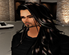 GL-Stewart Sable