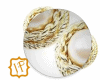 Ear" CD Pearl Gold