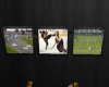 (ggd) Sidelines wall 3TV