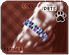[Pets]Makybe|candyband R
