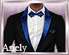 Luxurious Suit