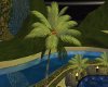 Eden Animated Palm 2