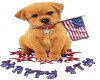 Fourth of july Puppy