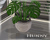 H. House Plant