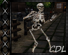 !C* H Dancing Skeleton