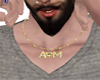 AM necklace
