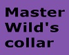 Wild's slave collar 2