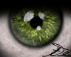VD Green Eye