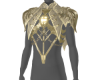 !V Gold Titan Top