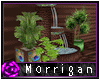 +Mor+  Fountain