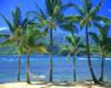 |beach Glasses|-