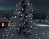 *Winter Tree/Lights