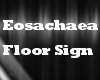 Eosachaea floor sign