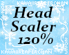 K| 120% Head Scaler