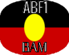 3D! Aboriginal Flag Ptls