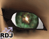 [RDJ] Eye F4