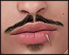 s. Asteri Beard Ngx