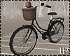 Bear Bicycle Black