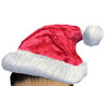 ~CR~Santa Hat