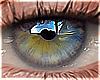 Eyes | Blue Green