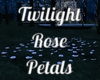 Twilight Rose Petals