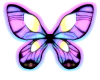 Tie dyed butterfly