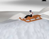 ps*Sled pile