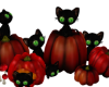Halloween Pumpkins Cats