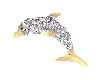 M Diamond Dolphin R