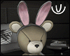 Bunny Bear Chocolate Egg