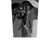 cutout trap