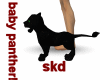 (SK)Panther Baby Pet