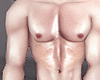 R.muscule pele masc