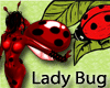 Lady Bug 2 Paws