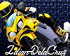 🏍 Racing Motorcycle