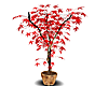 red leaf tree