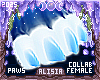 ⟡ Snöw Paws
