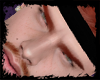 Caio Ginger Mh