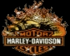 [L]Harley Radio