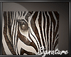 [Sig] Zebra Canvas