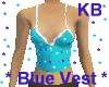 Blue Vest