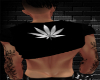 Stoner Top