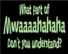 Did You Not Understand?