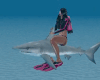 Animated SHARK