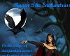 Raven The Enchantress