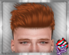 [LD]Connor♣Ginger