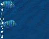 fishes shoal & bubbles
