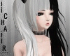 Sini Bundle