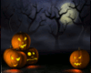 Halloween Backdrops