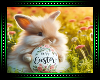 🐰 Easter Background